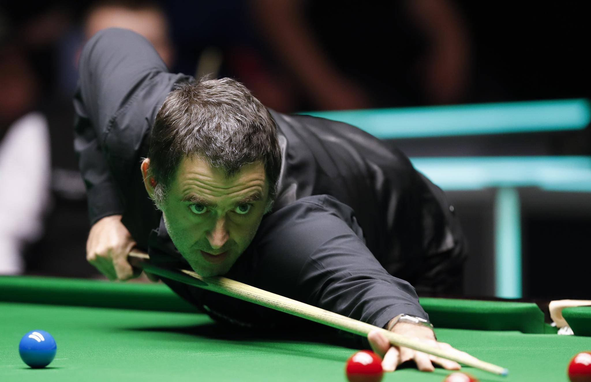 去追求属于 去追求属于