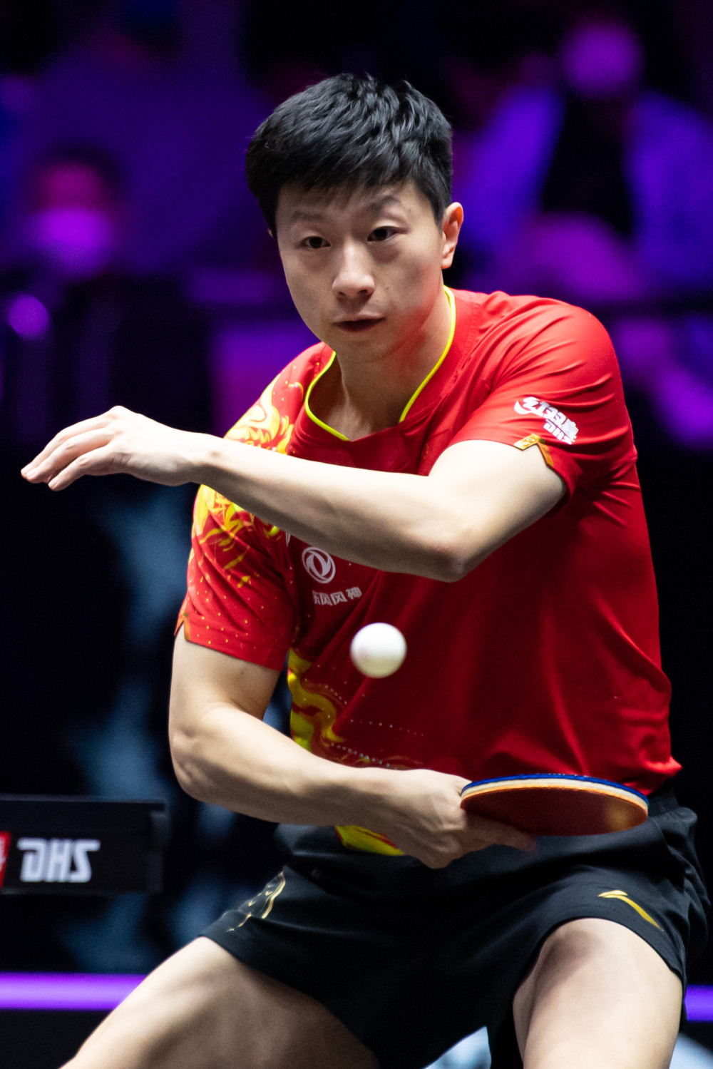 王楚钦在这 王楚钦在这