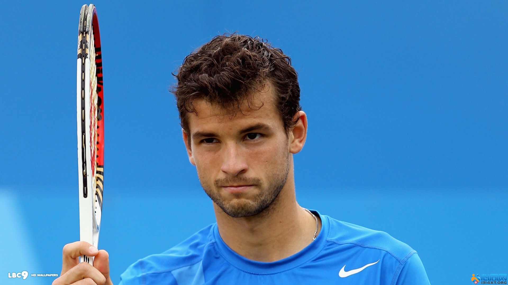 项目里程碑 项目里程碑